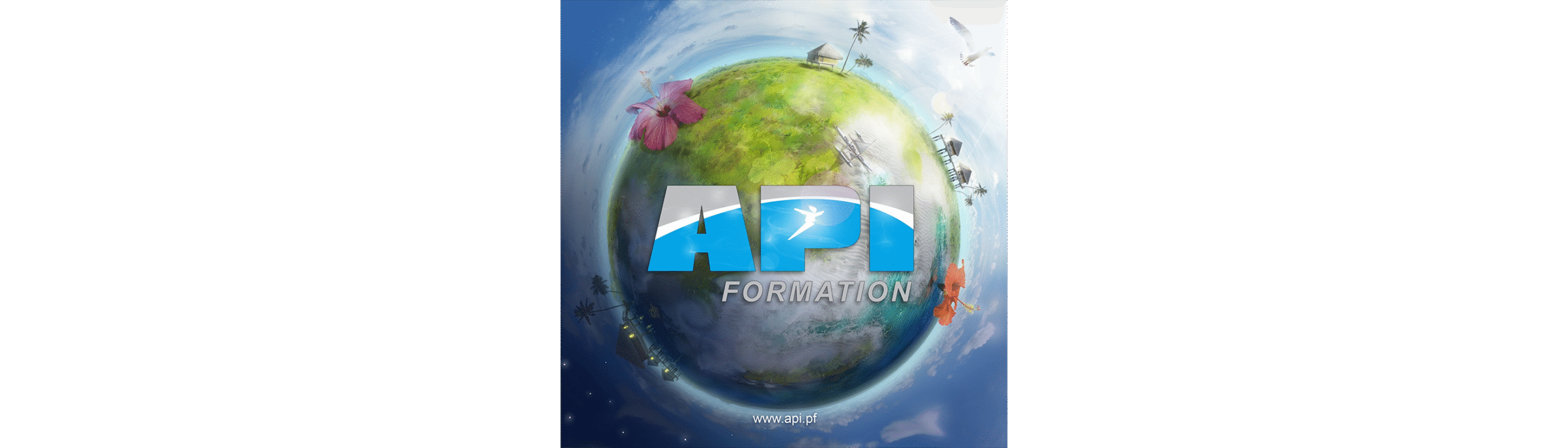 API FORMATION